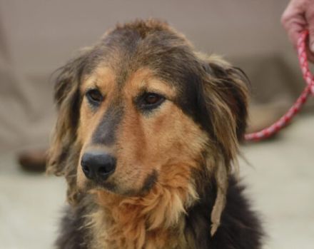 Neelix wartet schon so lange