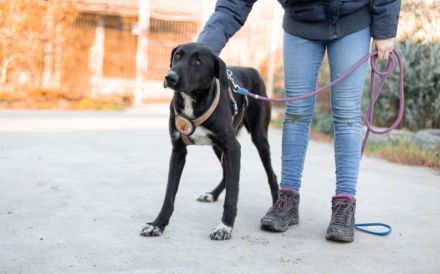 Laba möchte mit dir die Welt entdecken