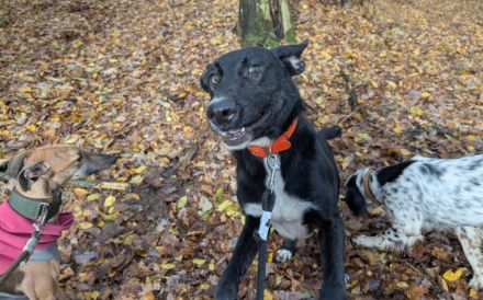Laba möchte mit dir die Welt entdecken