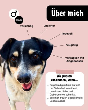 FLUFFY möchte dein herz erobern