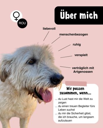 Verspielte LENIE sucht ihre Menschen für immer