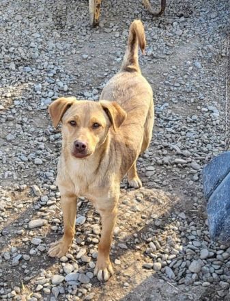 PEDDY möchte die Welt entdecken