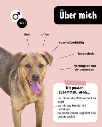 PEDDY möchte die Welt entdecken