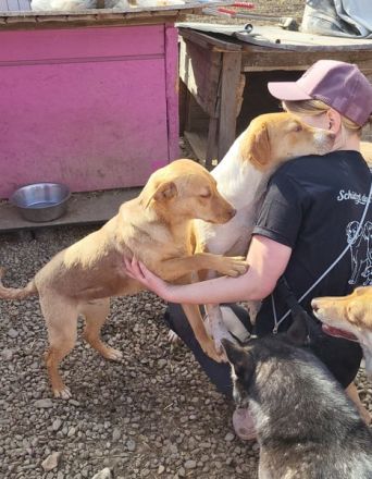 PEDDY möchte die Welt entdecken