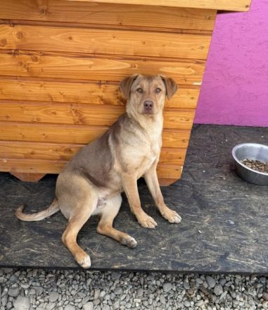 PEDDY möchte die Welt entdecken