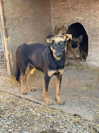 KARLA - darf ich bei dir aufblühen?
