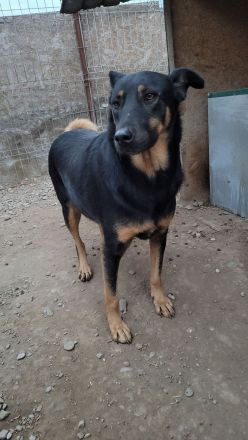 KARLA - darf ich bei dir aufblühen?