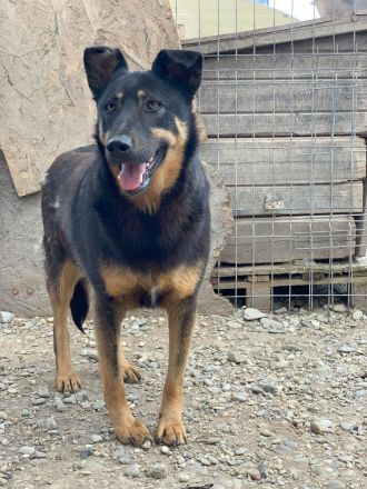 KARLA - darf ich bei dir aufblühen?