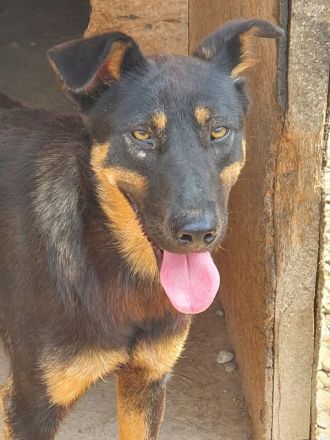 KARLA - darf ich bei dir aufblühen?