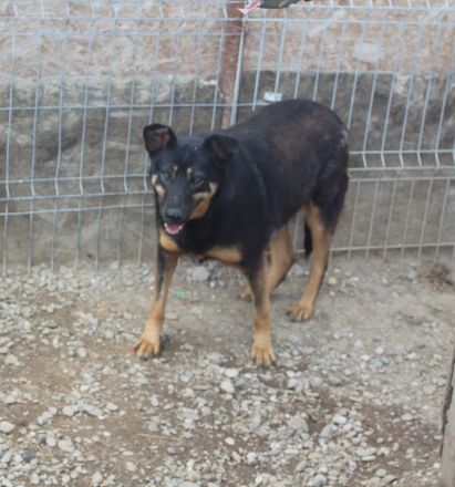 KARLA - darf ich bei dir aufblühen?