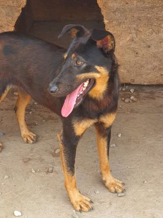 KARLA - darf ich bei dir aufblühen?