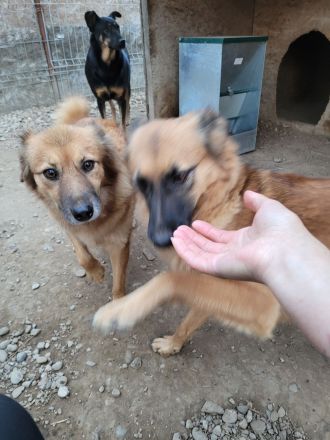 Sanfte TESSA sucht Dich