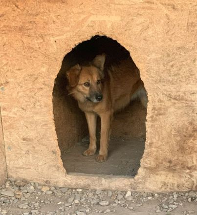 Sanfte TESSA sucht Dich