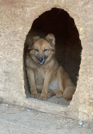 Sanfte TESSA sucht Dich