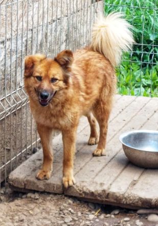 Sanfte TESSA sucht Dich