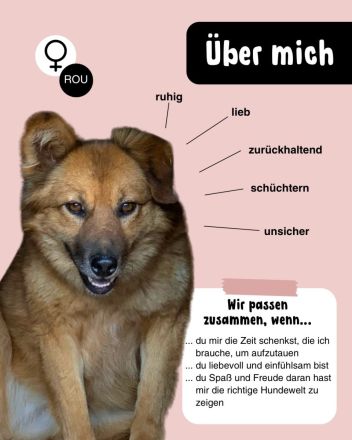 Sanfte TESSA sucht Dich