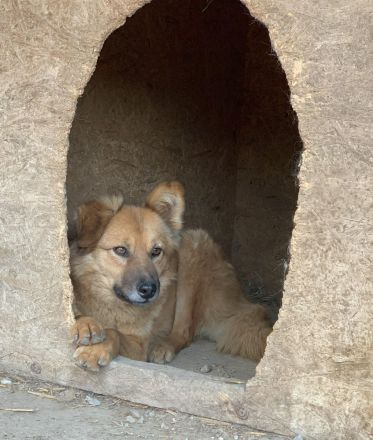 Sanfte TESSA sucht Dich