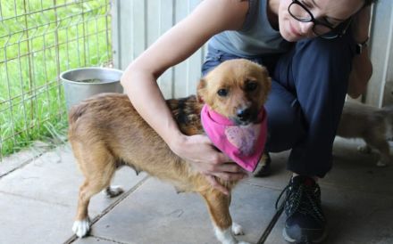 Kleine, umgängliche Josepha sucht ihre Menschen