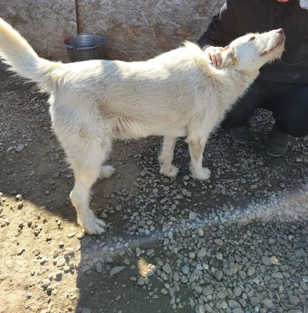 Die zauberhafte ANNA