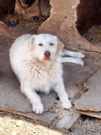 Die zauberhafte ANNA