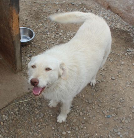 Die zauberhafte ANNA