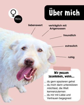 Die zauberhafte ANNA