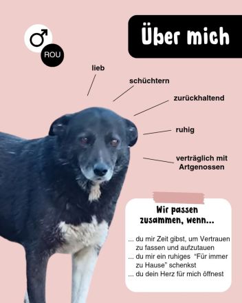 Zurückhaltender KASIMIR