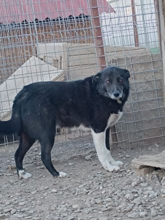 Zurückhaltender KASIMIR