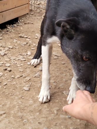 Zurückhaltender KASIMIR