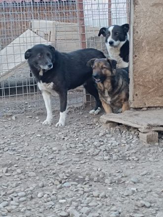 Zurückhaltender KASIMIR