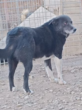 Zurückhaltender KASIMIR