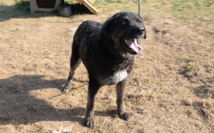 Die zauberhafte Vega möchte ankommen!