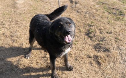 Die zauberhafte Vega möchte ankommen!