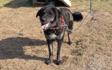 Die zauberhafte Vega möchte ankommen!