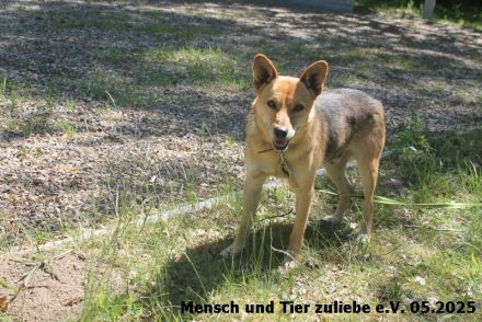 Vincent lieb, etwas schüchtern