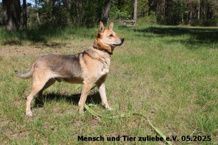 Vincent lieb, etwas schüchtern