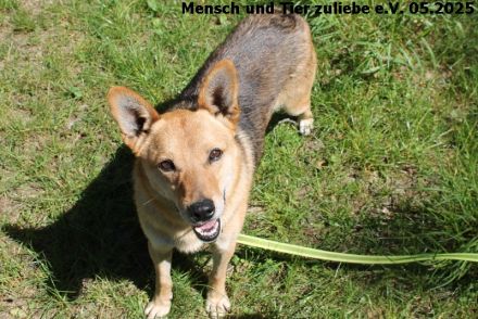 Vincent lieb, etwas schüchtern