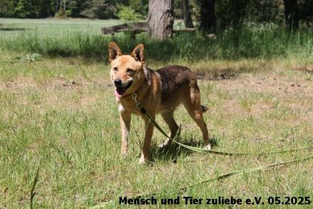 Vincent lieb, etwas schüchtern