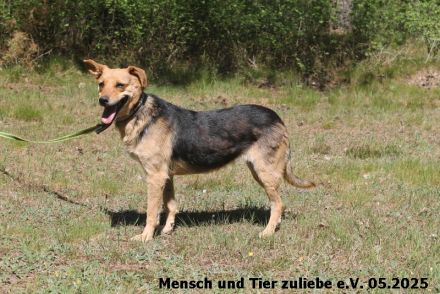 Flora, braucht Sicherheit und Liebe