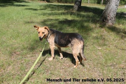 Flora, braucht Sicherheit und Liebe