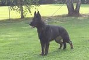 von der Eichberg-Ranch