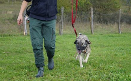 Amazones Vergangenheit war dunkel, kannst du ihr Licht sein?