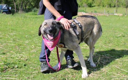 Amazones Vergangenheit war dunkel, kannst du ihr Licht sein?