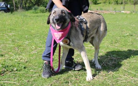 Amazones Vergangenheit war dunkel, kannst du ihr Licht sein?