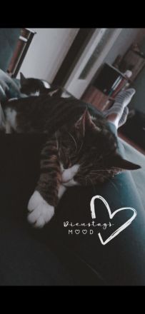 Geschwisterduo sucht ein neuen Dosenöffner