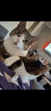 Geschwisterduo sucht ein neuen Dosenöffner