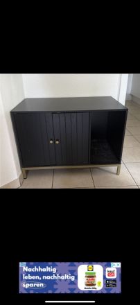 BKH Kitten mit Zubehör