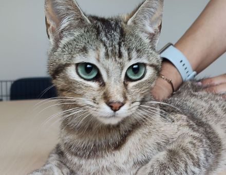 Hula und Hora warten auf ein schönes Zuhause