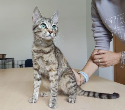 Hula und Hora warten auf ein schönes Zuhause