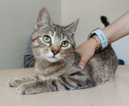 Hula und Hora warten auf ein schönes Zuhause